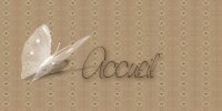 retour accueil site